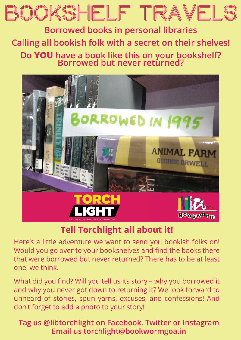 Torchlight-Bookshelf-Crowdsourcing